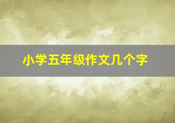 小学五年级作文几个字