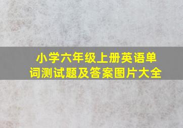 小学六年级上册英语单词测试题及答案图片大全