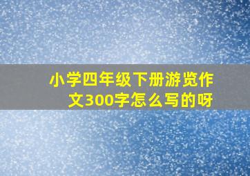 小学四年级下册游览作文300字怎么写的呀