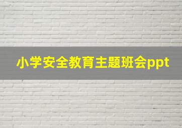 小学安全教育主题班会ppt