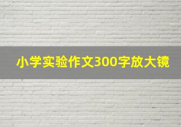 小学实验作文300字放大镜