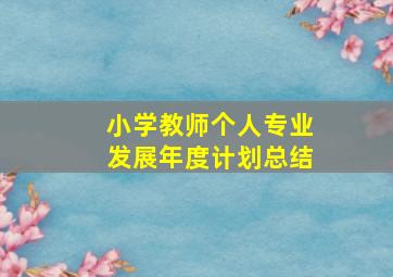 小学教师个人专业发展年度计划总结