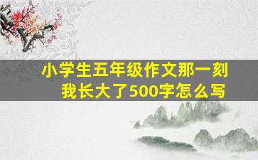 小学生五年级作文那一刻我长大了500字怎么写