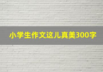 小学生作文这儿真美300字