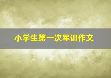 小学生第一次军训作文