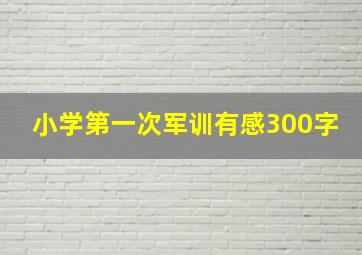 小学第一次军训有感300字