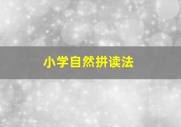 小学自然拼读法