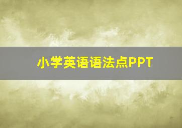 小学英语语法点PPT