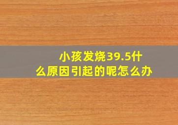 小孩发烧39.5什么原因引起的呢怎么办