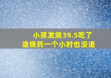 小孩发烧39.5吃了退烧药一个小时也没退