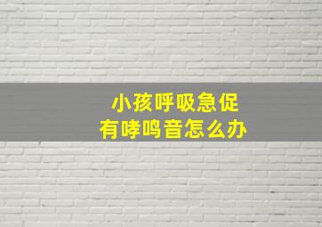 小孩呼吸急促有哮鸣音怎么办