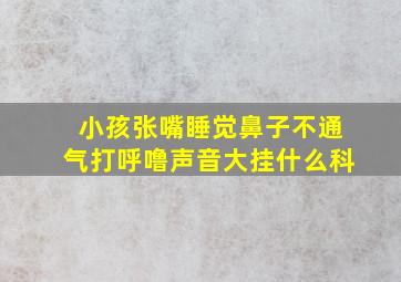 小孩张嘴睡觉鼻子不通气打呼噜声音大挂什么科