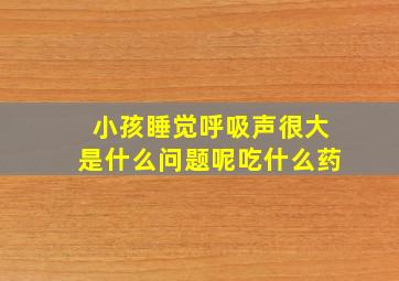 小孩睡觉呼吸声很大是什么问题呢吃什么药