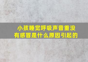 小孩睡觉呼吸声音重没有感冒是什么原因引起的