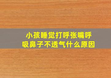 小孩睡觉打呼张嘴呼吸鼻子不透气什么原因