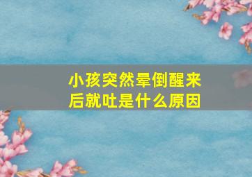 小孩突然晕倒醒来后就吐是什么原因