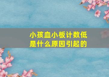 小孩血小板计数低是什么原因引起的