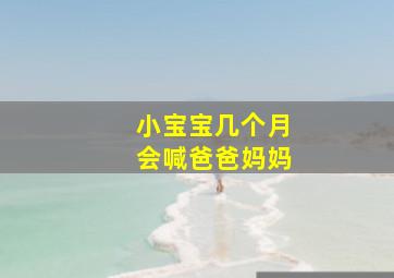 小宝宝几个月会喊爸爸妈妈