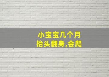 小宝宝几个月抬头翻身,会爬