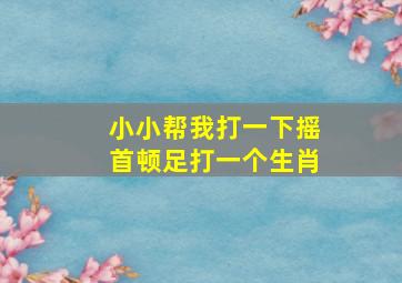 小小帮我打一下摇首顿足打一个生肖