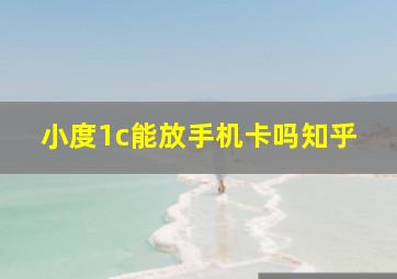 小度1c能放手机卡吗知乎