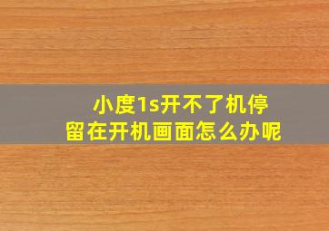 小度1s开不了机停留在开机画面怎么办呢