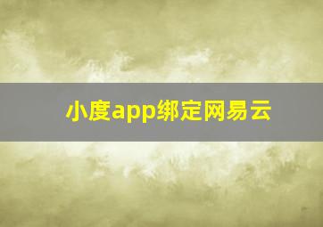 小度app绑定网易云