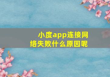 小度app连接网络失败什么原因呢