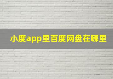 小度app里百度网盘在哪里