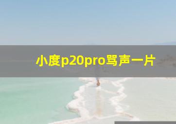 小度p20pro骂声一片