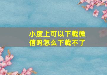 小度上可以下载微信吗怎么下载不了