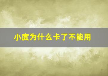 小度为什么卡了不能用