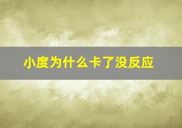 小度为什么卡了没反应