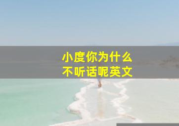 小度你为什么不听话呢英文