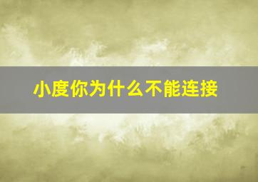 小度你为什么不能连接