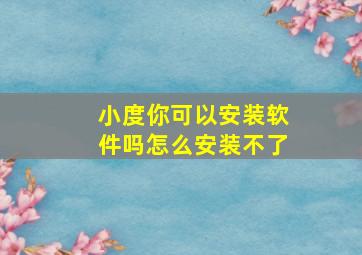 小度你可以安装软件吗怎么安装不了