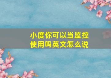 小度你可以当监控使用吗英文怎么说