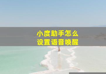 小度助手怎么设置语音唤醒