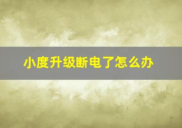 小度升级断电了怎么办