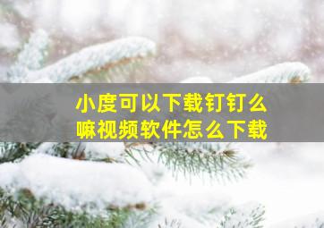 小度可以下载钉钉么嘛视频软件怎么下载