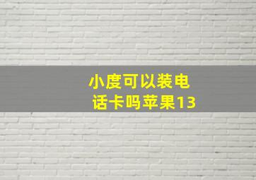 小度可以装电话卡吗苹果13