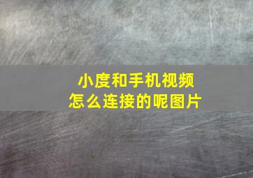 小度和手机视频怎么连接的呢图片