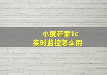 小度在家1c实时监控怎么用