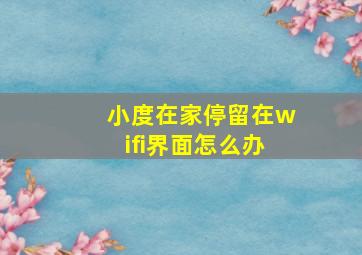 小度在家停留在wifi界面怎么办