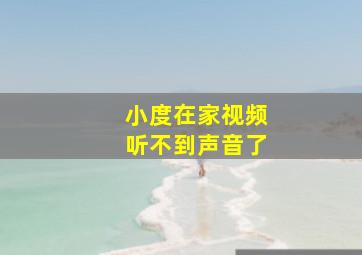 小度在家视频听不到声音了