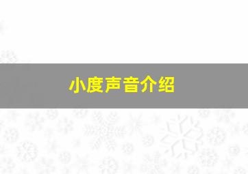 小度声音介绍