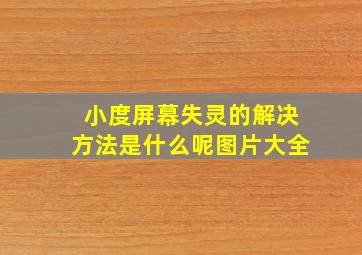 小度屏幕失灵的解决方法是什么呢图片大全