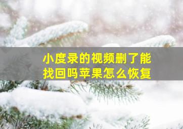 小度录的视频删了能找回吗苹果怎么恢复