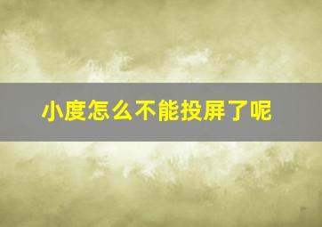 小度怎么不能投屏了呢