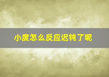 小度怎么反应迟钝了呢